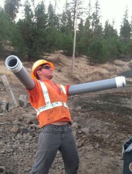 Morning Picdump