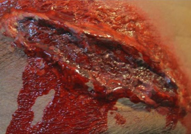 Homemade Wound Make-up