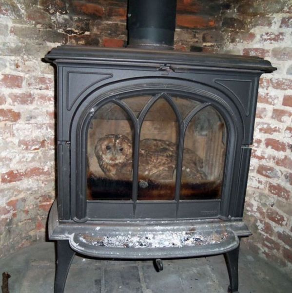 morning picdump 54 pics 3.html - 54 HD Photos | Premium Gallery 2012