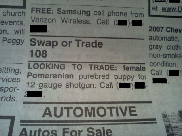 Morning Picdump