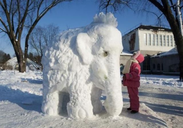 Morning Picdump