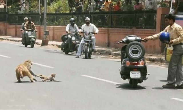 Only in India. Part 3