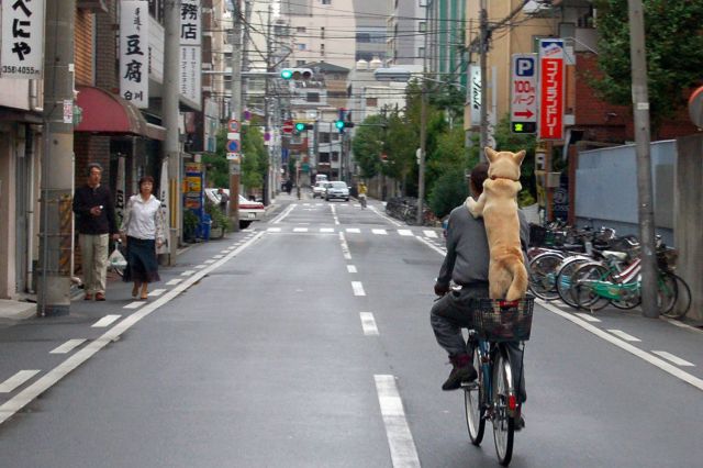 daily picdump 86 pics 12.html - 86 HD Photos | Premium Gallery 2012