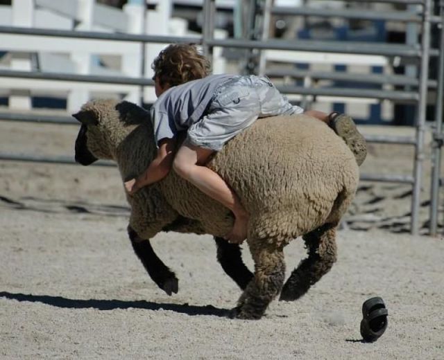 morning picdump 50 pics 43.html - 50 HD Photos | Premium Gallery 2012