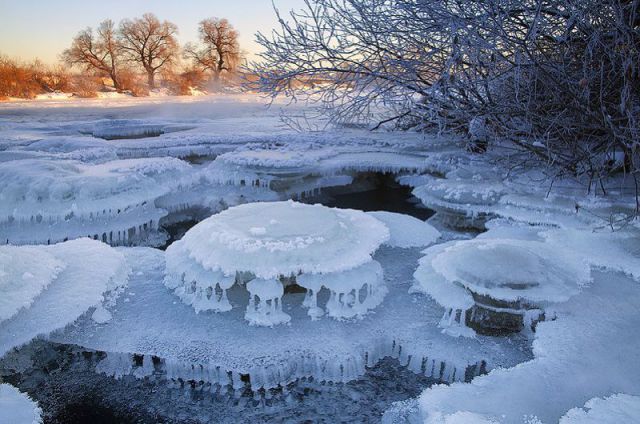 morning picdump 50 pics 43.html - 50 HD Photos | Premium Gallery 2012