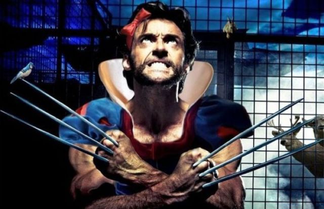 morning picdump 50 pics 43.html - 50 HD Photos | Premium Gallery 2012