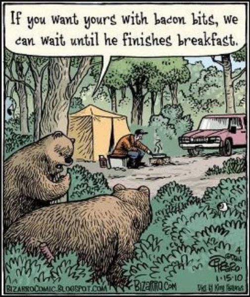 morning picdump 50 pics 43.html - 50 HD Photos | Premium Gallery 2012