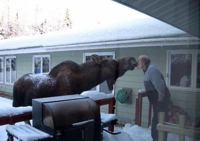 Morning Picdump