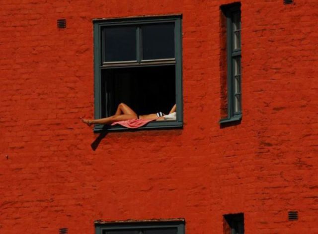 Morning Picdump