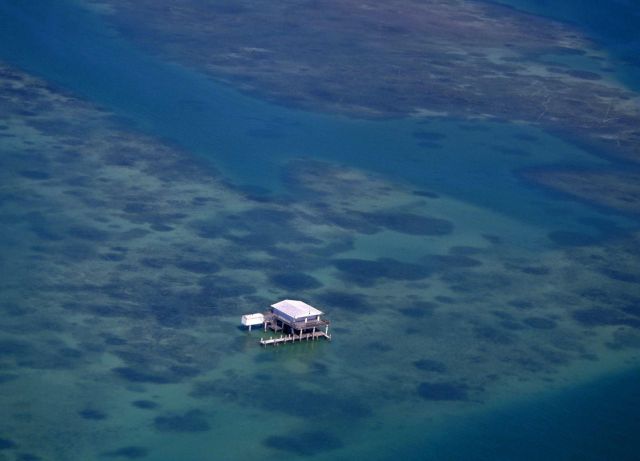 morning picdump 48 pics 18.html - 48 HD Photos | Premium Gallery 2012