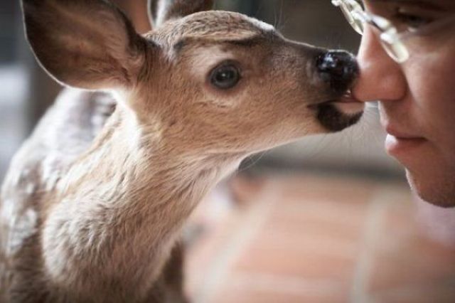 morning picdump 48 pics 18.html - 48 HD Photos | Premium Gallery 2012