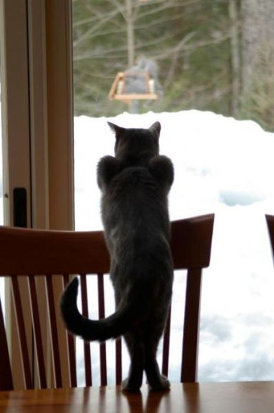 daily picdump 90 pics 45.html - 90 HD Photos | Premium Gallery 2012