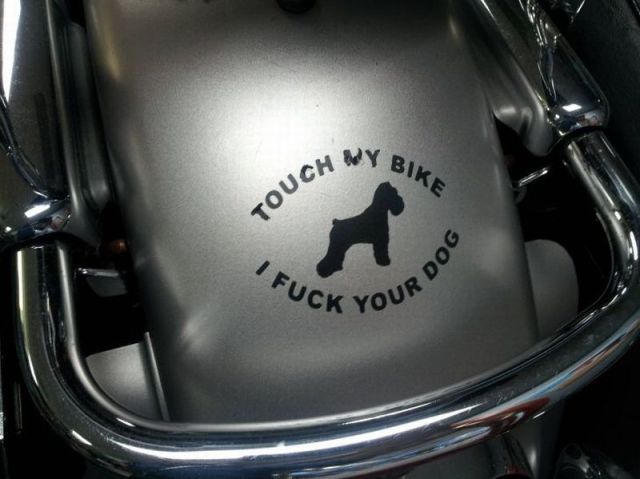 daily picdump 90 pics 45.html - 90 HD Photos | Premium Gallery 2012