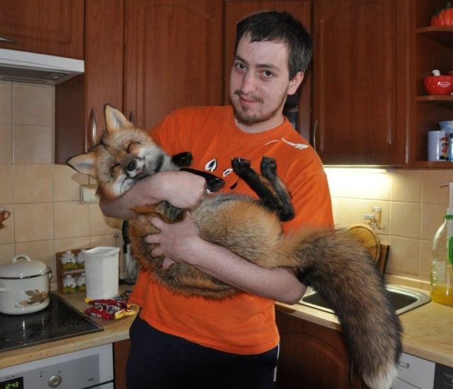 daily picdump 90 pics 45.html - 90 HD Photos | Premium Gallery 2012