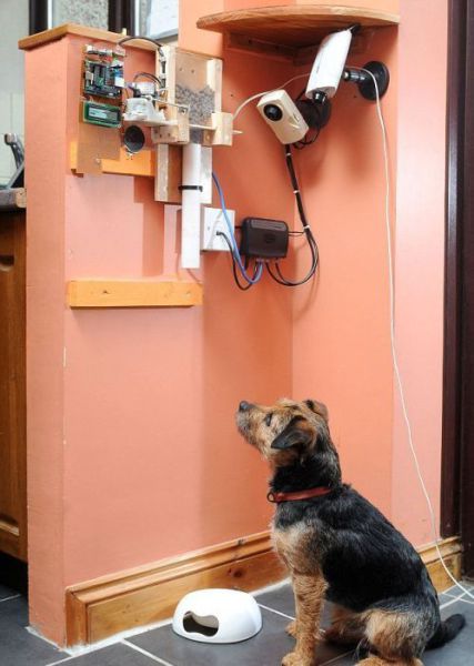 morning picdump 52 pics 8.html - 52 HD Photos | Premium Gallery 2012