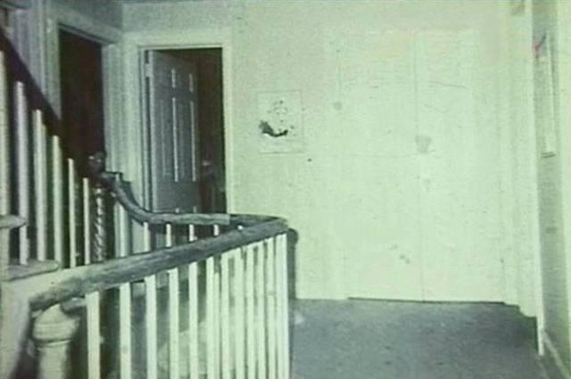 Holy Crap, What’s That? Part 2