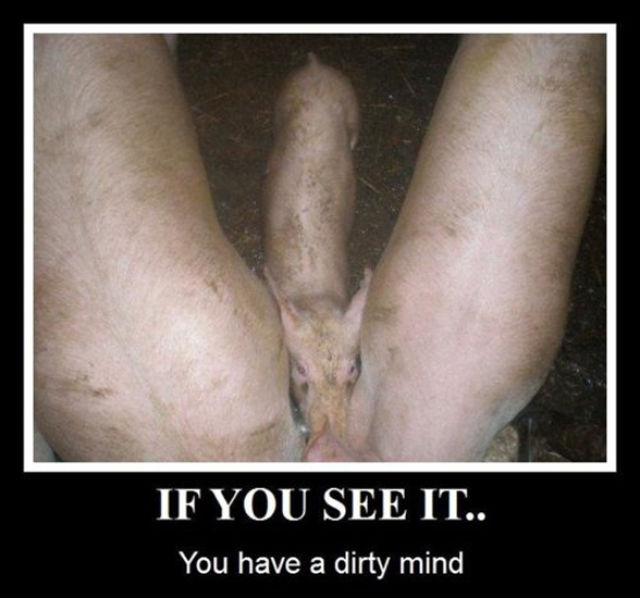 Holy Crap, What’s That? Part 2