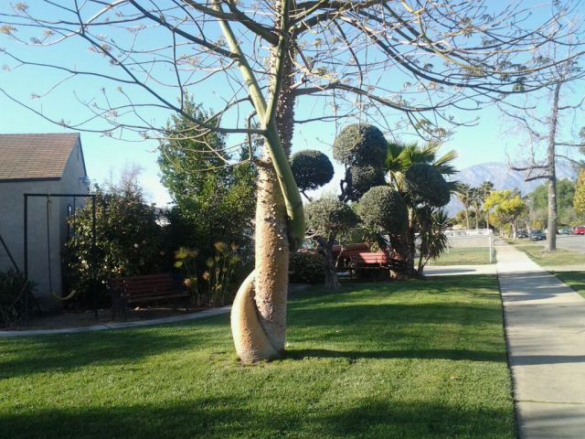 morning picdump 50 pics 10.html - 50 HD Photos | Premium Gallery 2012