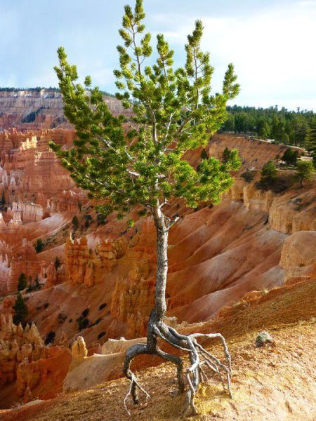 morning picdump 50 pics 10.html - 50 HD Photos | Premium Gallery 2012