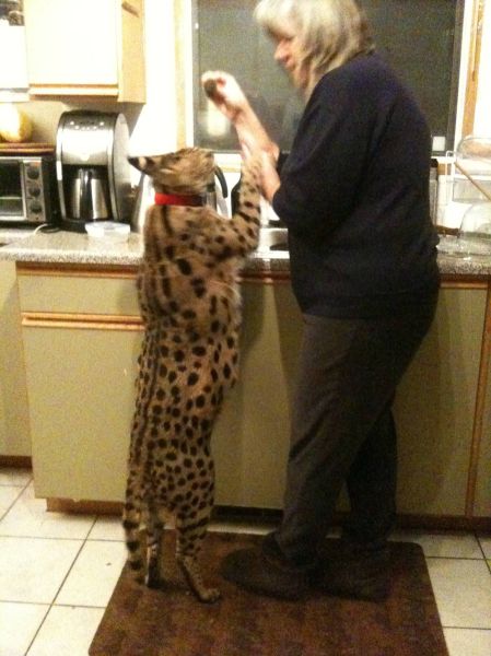 morning picdump 50 pics 10.html - 50 HD Photos | Premium Gallery 2012
