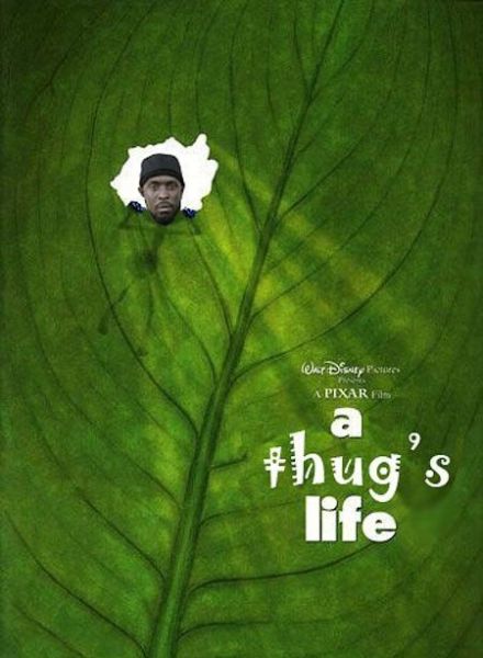 morning picdump 50 pics 10.html - 50 HD Photos | Premium Gallery 2012