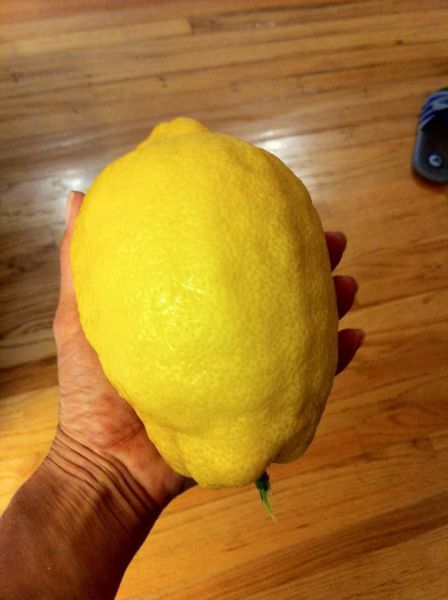 daily picdump 93 pics 9.html - 93 HD Photos | Premium Gallery 2012