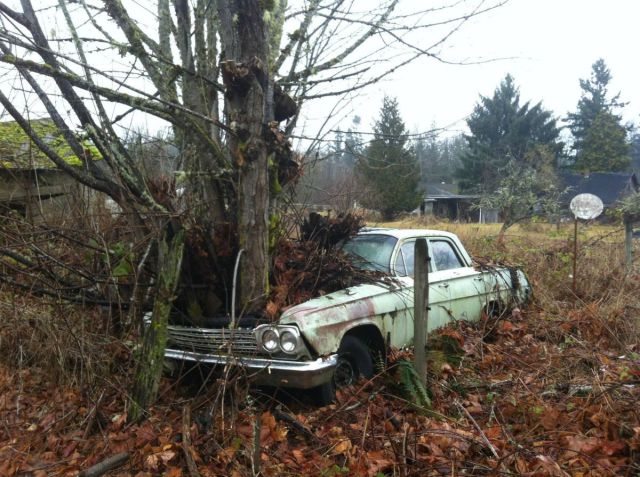 morning picdump 64 pics 10.html - 64 HD Photos | Premium Gallery 2012