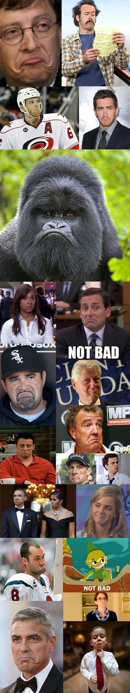 Morning Picdump