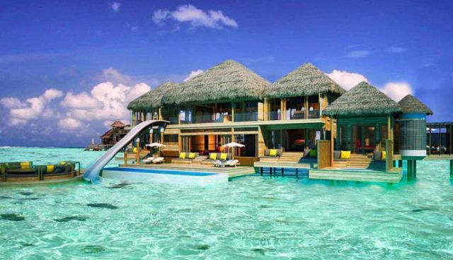 daily picdump 92 pics 28.html - 92 HD Photos | Premium Gallery 2012