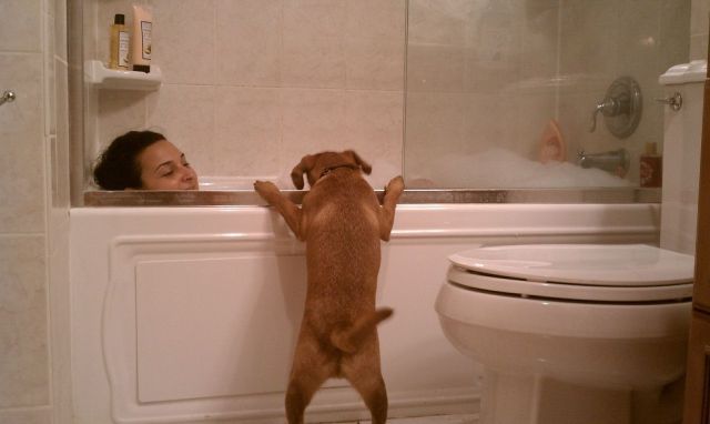 daily picdump 92 pics 28.html - 92 HD Photos | Premium Gallery 2012