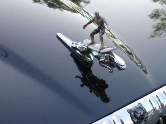 morning picdump 50 pics 17.html - 50 HD Photos | Premium Gallery 2012