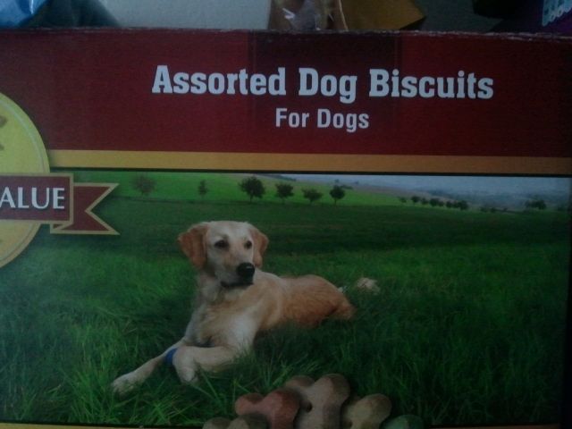 morning picdump 50 pics 17.html - 50 HD Photos | Premium Gallery 2012