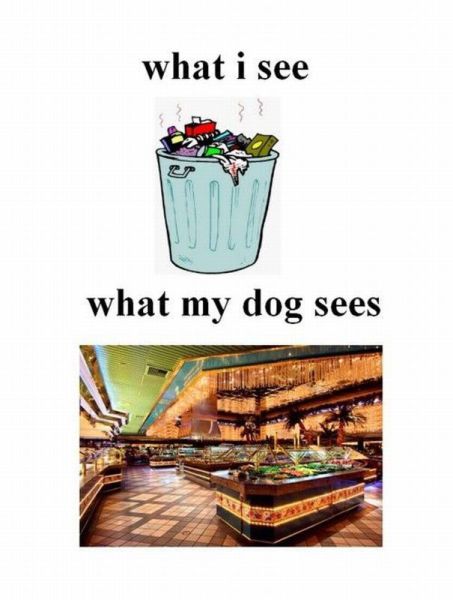 morning picdump 50 pics 17.html - 50 HD Photos | Premium Gallery 2012