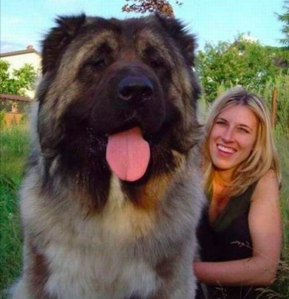 morning picdump 50 pics 17.html - 50 HD Photos | Premium Gallery 2012