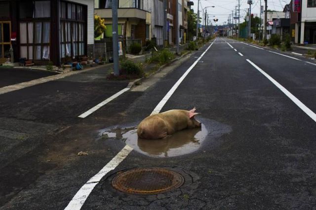 morning picdump 51 pics 32.html - 51 HD Photos | Premium Gallery 2012