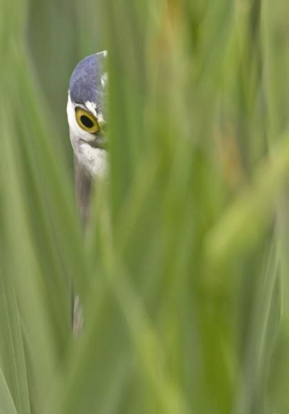 morning picdump 51 pics 32.html - 51 HD Photos | Premium Gallery 2012