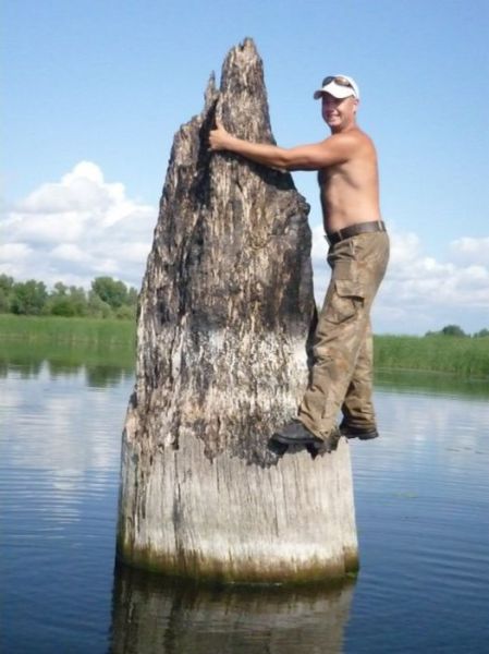 morning picdump 51 pics 32.html - 51 HD Photos | Premium Gallery 2012