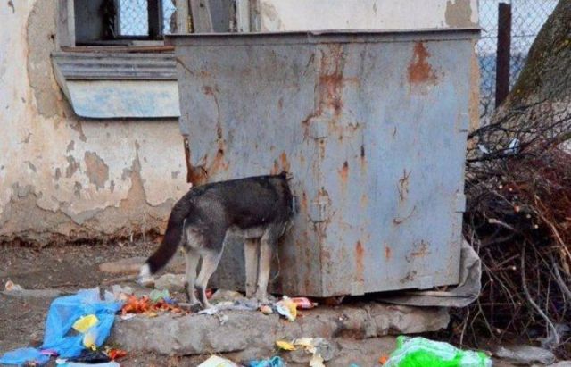 morning picdump 51 pics 32.html - 51 HD Photos | Premium Gallery 2012