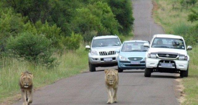 Africa Is Unique