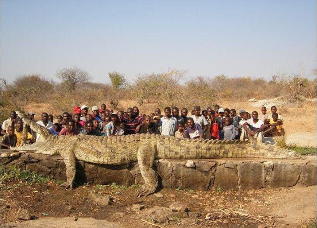 Africa Is Unique
