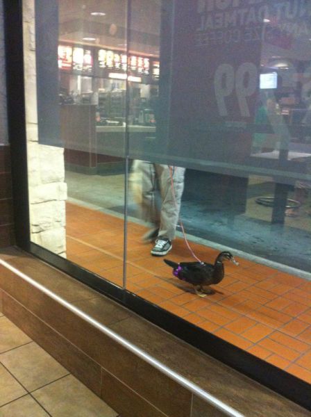 daily picdump 92 pics 19.html - 92 HD Photos | Premium Gallery 2012