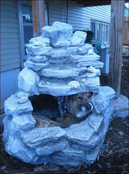 daily picdump 92 pics 19.html - 92 HD Photos | Premium Gallery 2012