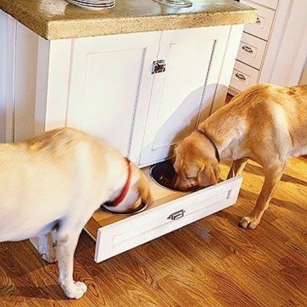 daily picdump 92 pics 19.html - 92 HD Photos | Premium Gallery 2012