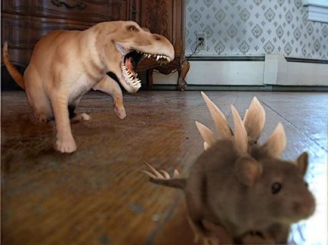Morning Picdump