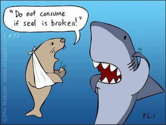 morning picdump 50 pics 8.html - 50 HD Photos | Premium Gallery 2012