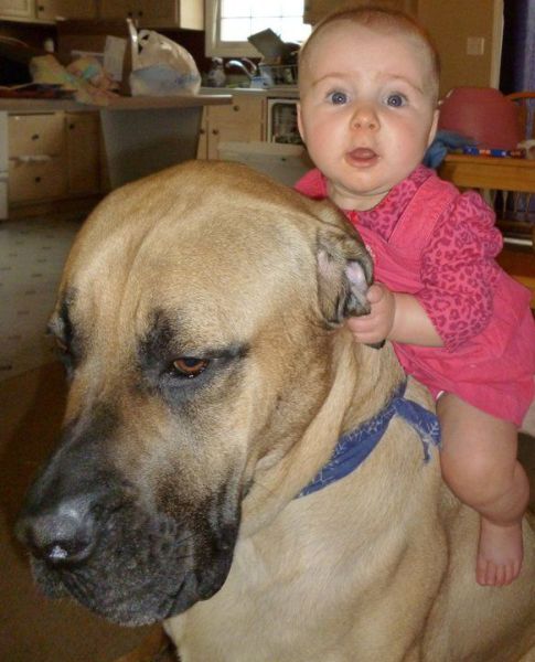 morning picdump 64 pics 1.html - 64 HD Photos | Premium Gallery 2012