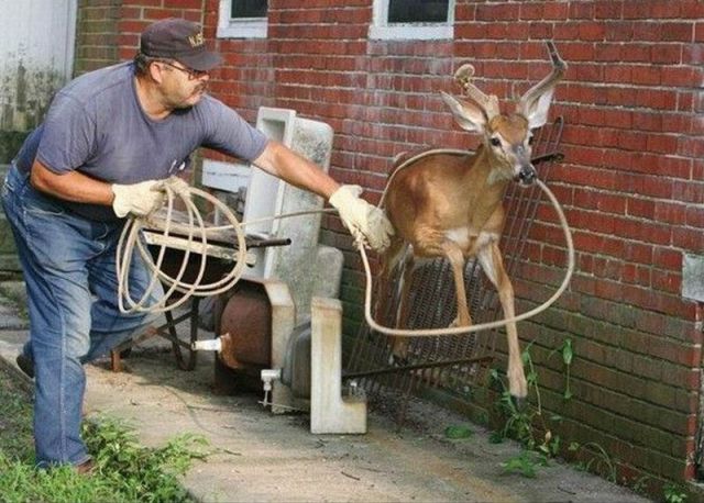 daily picdump 89 pics 2.html - 89 HD Photos | Premium Gallery 2012