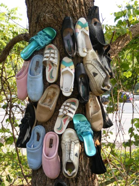 daily picdump 89 pics 2.html - 89 HD Photos | Premium Gallery 2012