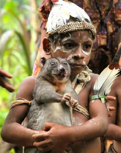 daily picdump 89 pics 2.html - 89 HD Photos | Premium Gallery 2012