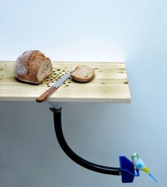 Morning Picdump